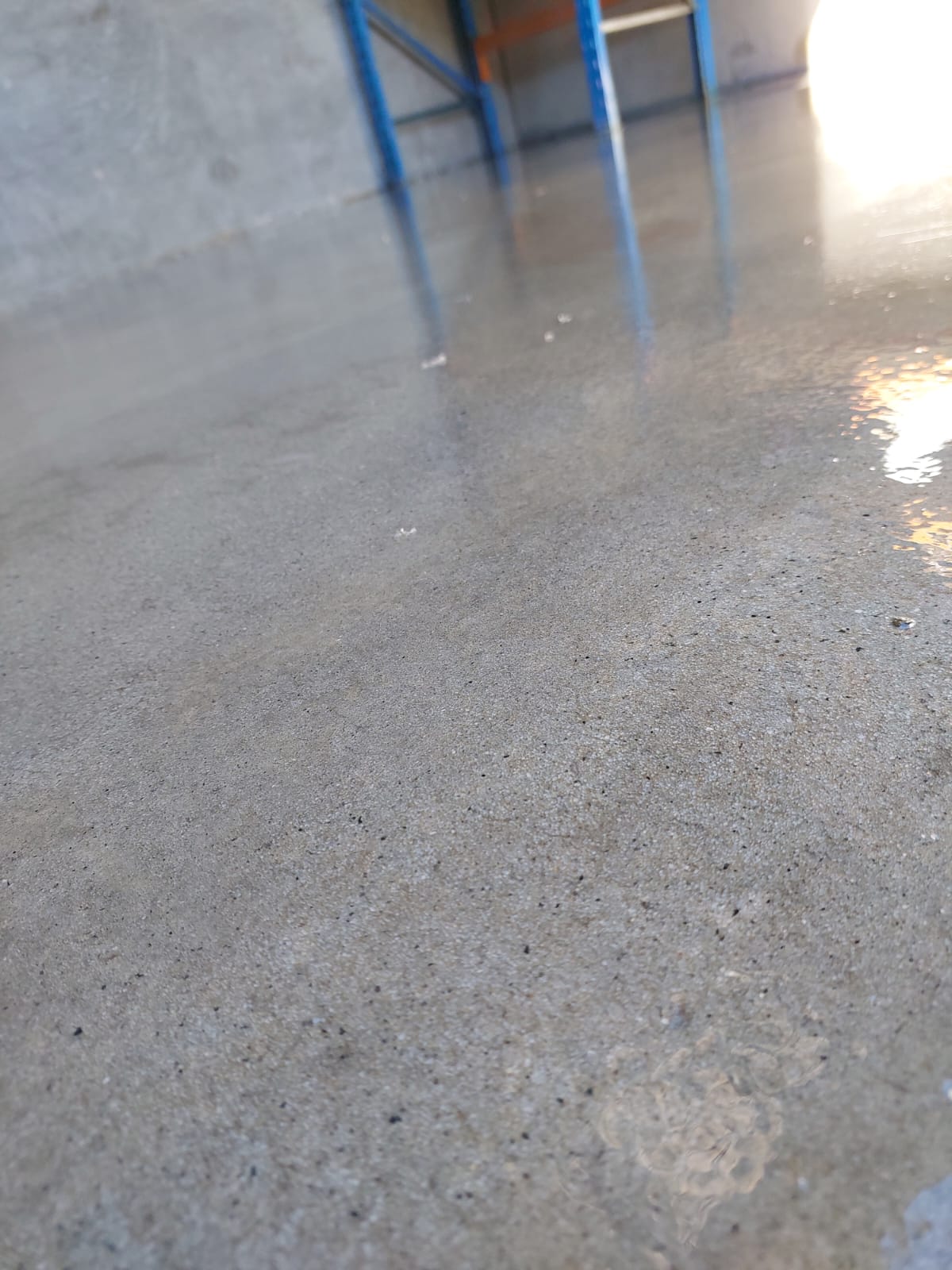 Grinding Sealing & Staining Perth